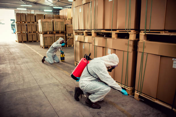 Wasp Removal Services in Corunna, MI