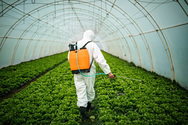 Best Pest Inspection Near Me  in Corunna, MI