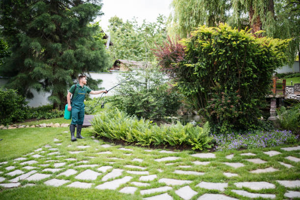 Best Commercial Pest Control Services  in Corunna, MI